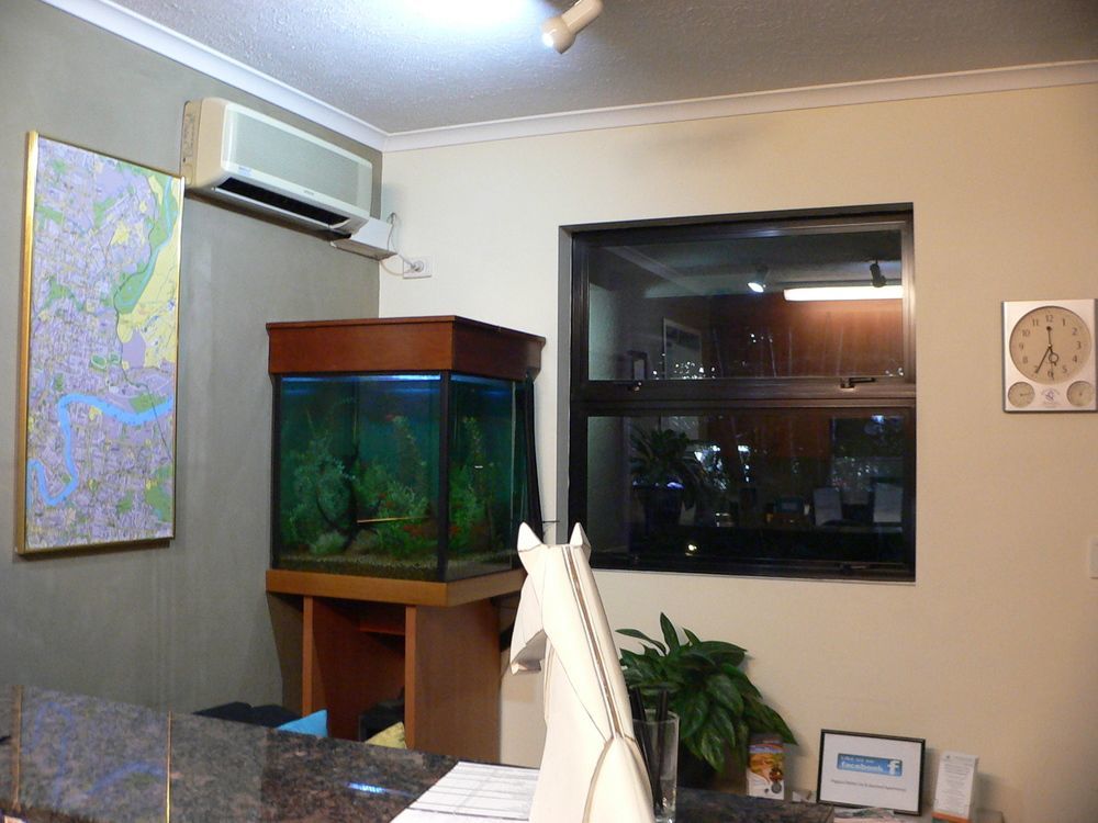 Pegasus Motor Inn And Serviced Apartments Hamilton Экстерьер фото